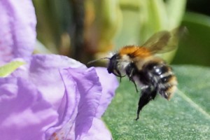 footerpic-freework-03478-300x200
