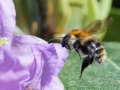 footerpic-freework-03478