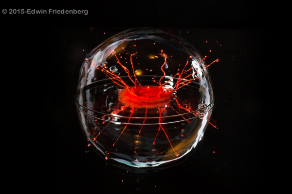 Painting in the Bubble-02027